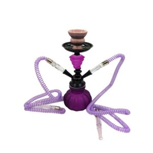 Hookah 2 Mangueras 28 cm – Colores Intensos con Estilo