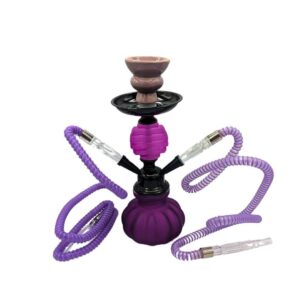 Hookah de 2 Mangueras Color Elegante – 28 cm